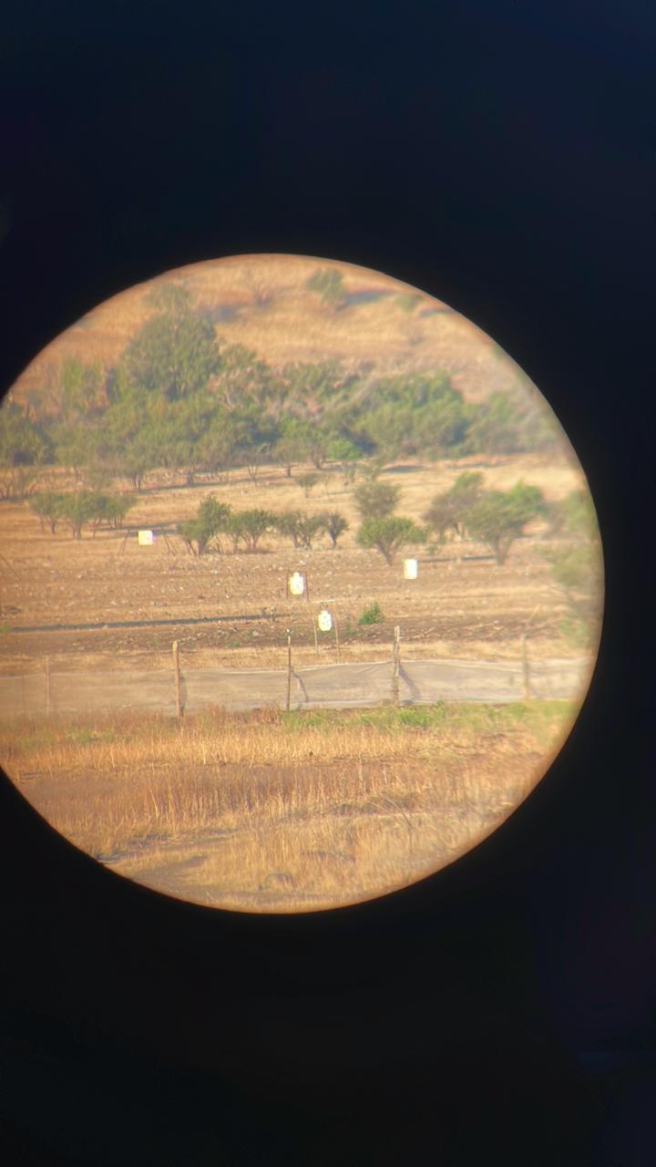 ENTRENAMIENTO APLICADO - Imagen 5